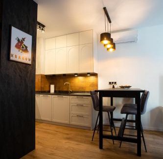 Stare Podgorze Apartment | Krakow Centrum Sunny Apartment Lwowska 10