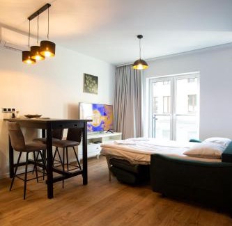 Stare Podgorze Apartment | Krakow Centrum Sunny Apartment Lwowska 10