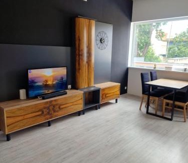 Opole Apartment | Krakowska 41A duży apartament w centrum FV23 self check-in