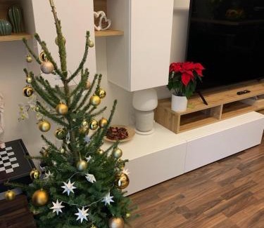 Liben Apartment | Krejcarek Garden Apartment