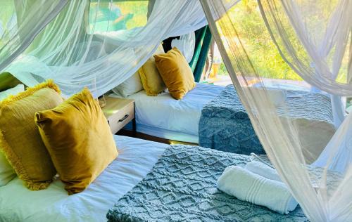 Kruger National Park Other | Kruger Untamed - Tshokwane River Camp