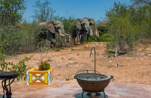 Phalaborwa Villa | Kruger Wildlife Villas