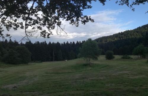 Crni Lug Apartment | Kuća za odmor "Jasna" (Holiday home "Jasna")