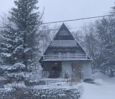 Platak Ski Chalet | Kuća za odmor Platak