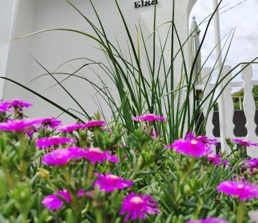 Rijeka Villa | Kuća za odmor Vila Elza