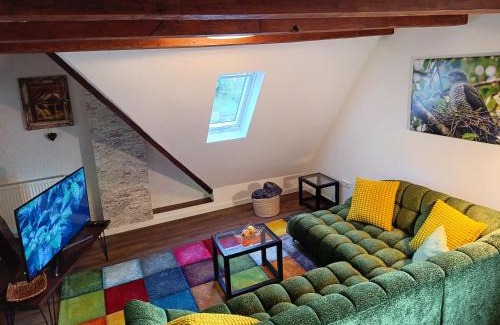 Sondernach Apartment | Kuckucksnest - Nid de Coucou