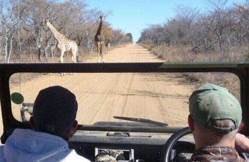 Waterberg Cabin | Kudumela Bush Lodge