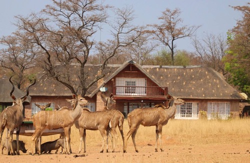 Waterberg Cabin | Kudumela Bush Lodge