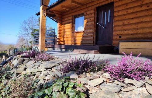 Jarnołtowek Ski Chalet | Kwietna łąka na szlaku