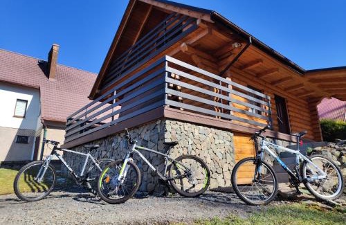 Jarnołtowek Ski Chalet | Kwietna łąka na szlaku