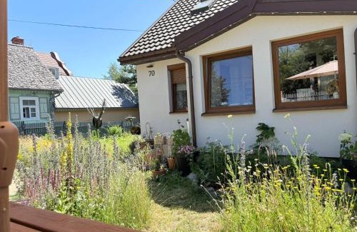 Bialowieza House | Kwietny Stoczek 70