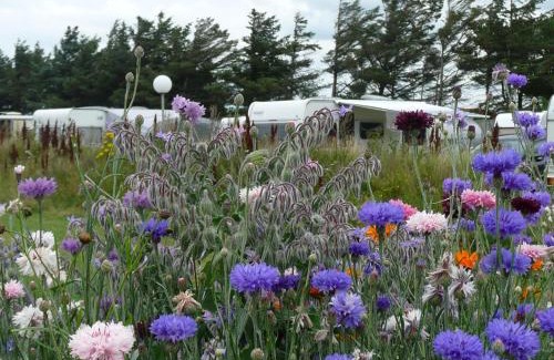 Lonstrup Other | Lønstrup Camping Cottages & Rooms
