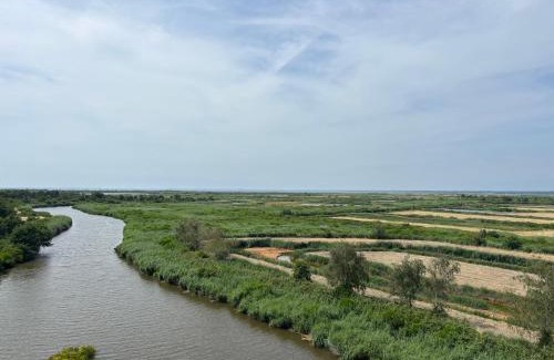 Le Teich Apartment | L air du Bassin