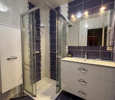 La Roche-sur-Foron Apartment | L'ALTÉA - top floor - bright - city center