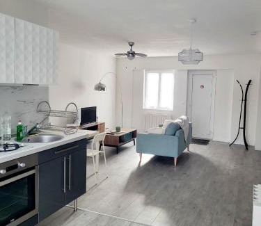 Saint-Laurent-Nouan Apartment | L'appart du centre