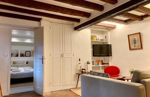Toulouse City-Centre Apartment | L' Appart