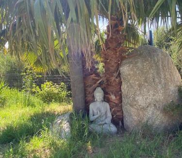 Preconil House | L'Elyvette