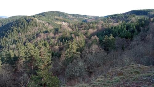 Lafarre House | L'envol des papillons