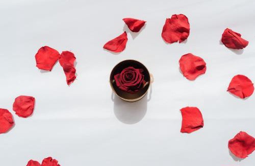 Verneuil-sur-Seine Hotel | L'Escale Royale Verneuil-sur-Seine