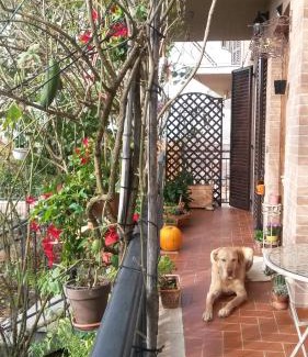 Torrenieri Bed & Breakfast | L'Incanto