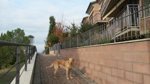 Torrenieri Bed & Breakfast | L'Incanto