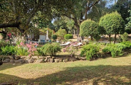 Oletta House | L’oléado