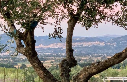 Bettona House | L'Olmo Agriturismo Di Charme