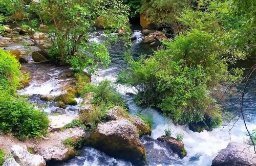 Fontaine-de-Vaucluse House | L'Oustau de Laëtitia Welcome Animals