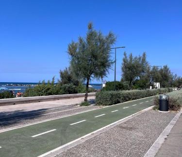 Municipio 3 Apartment | La Bella Vista