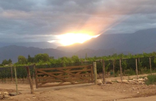 La Consulta Villa | La Bodeguita y El Bodegón Casa Tika