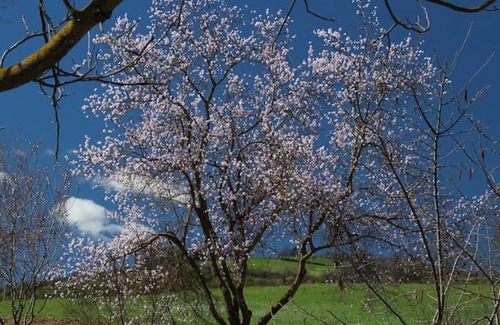 Neviano degli Arduini House | La Ca' Tòrta - Rustico ristrutturato
