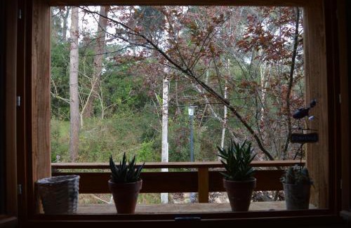 Lege-Cap-Ferret House | La cabane du Truquet