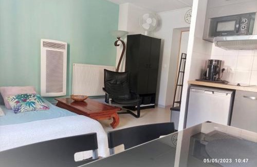 Montauban Apartment | La cahute, studio avec cour extérieure