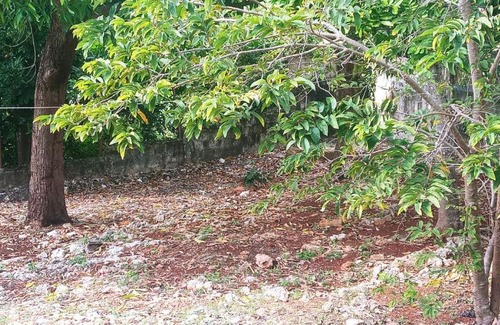 Spanish Town Apartment | La Caridad Hostal Jamaica