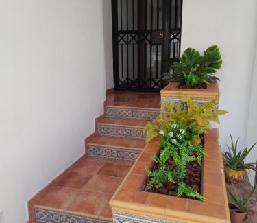 San Fernando House | La casa de la luz