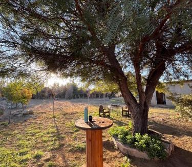 Chilecito House | La Casa del Hornero en Chilecito