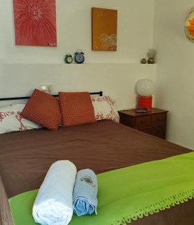 Agreda House | La casa del patio