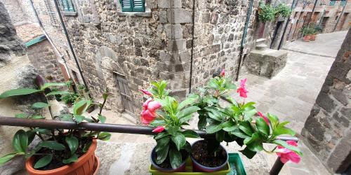 Abbadia San Salvatore House | La casa di Cla