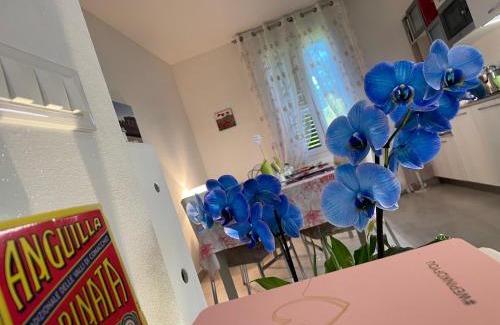 Comacchio Bed & Breakfast | La casa di Celeste B&B