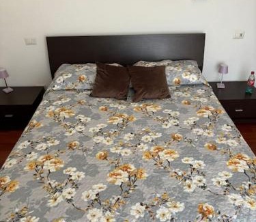 Zona LIII Tomba di Nerone Apartment | La casa di Fede in Rome