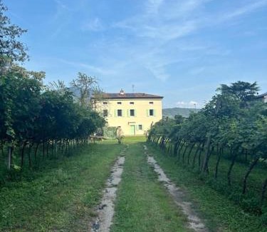 Riva del Garda Apartment | La Casa nella Vigna