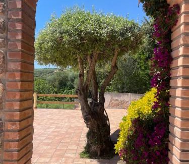 Bortigiadas House | La Casa Sul Lago