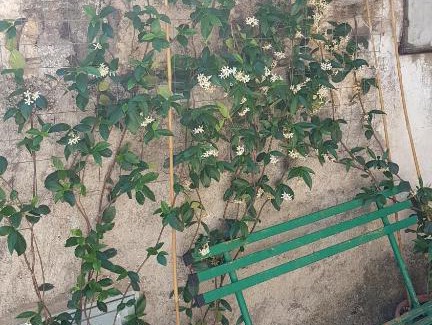 Poggio Bustone Apartment | La casetta del Pellegrino