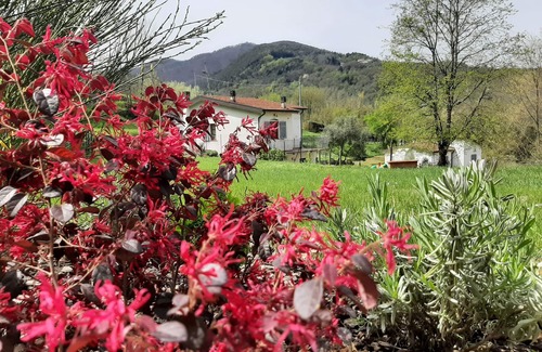 Ricco del Golfo di Spezia Cottage | "La casetta di Bianca". CITRA 011023-LT-0048