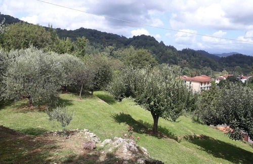 Ricco del Golfo di Spezia Cottage | "La casetta di Bianca". CITRA 011023-LT-0048