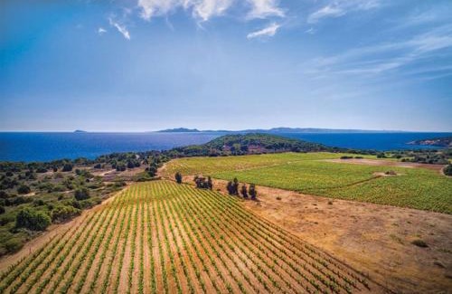 Giba House | La Casetta