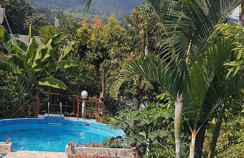 Xilitla House | La casona de MaryChuy