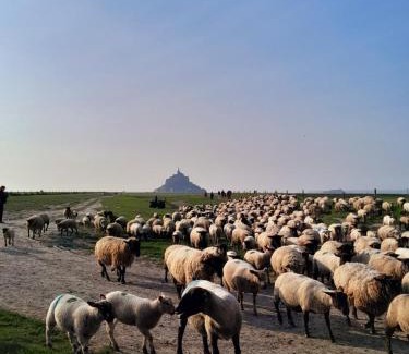 Pontorson House | La Chouette Hulotte