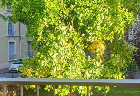 Saint-Germain-en-Laye Apartment | La Clé de Jules