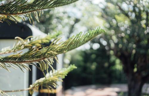 Nong Sarai Hotel | LA COCOTTE VILLA & FARM KHAO YAI